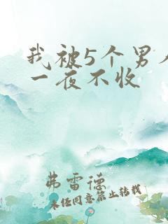 我被5个男人躁一夜不收
