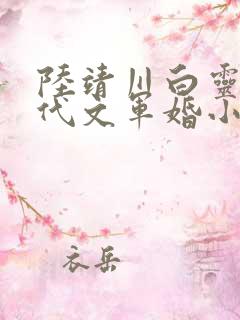 陆靖川白灵珑年代文军婚小说