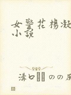 女警花杨凝冰的小说