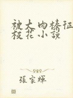 被大肉榛征服的校花小说