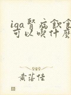 iga肾病饮食可以吃什么