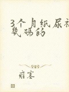 3个月纸尿裤穿几码的