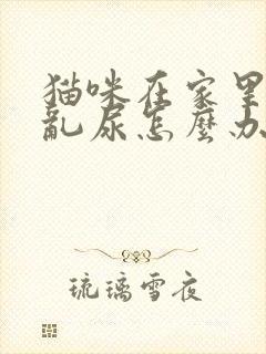 猫咪在家里到处乱尿怎么办