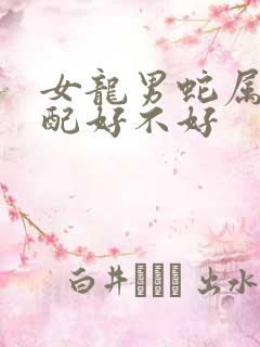 女龙男蛇属相婚配好不好