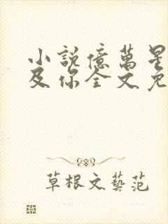 小说亿万星辰不及你全文免费阅读