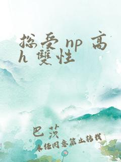 总受 np 高h 双性
