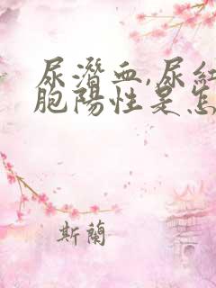 尿潜血,尿红细胞阳性是怎么回事