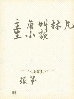 主角叫林凡的重生小说