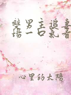 双男主追妻火葬场一口气看完