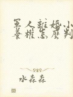 军人离婚小孩抚养权怎么判