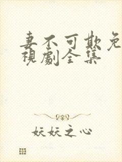 妻不可欺免费电视剧全集