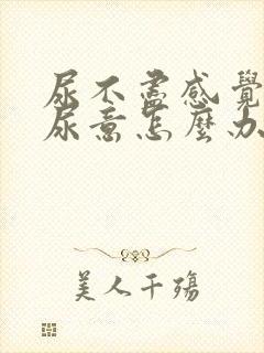 尿不尽感觉总有尿意怎么办