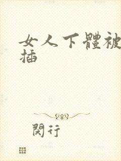 女人下体被男人插