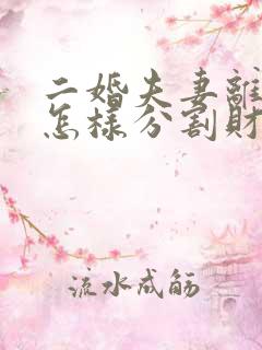 二婚夫妻离婚后怎样分割财产