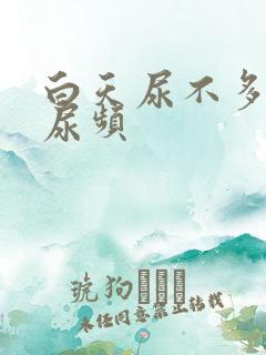 白天尿不多晚上尿频