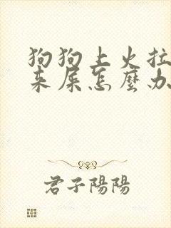 狗狗上火拉不出来屎怎么办