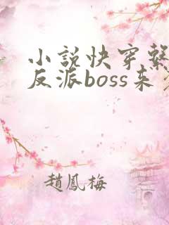 小说快穿系统之反派boss来袭txt