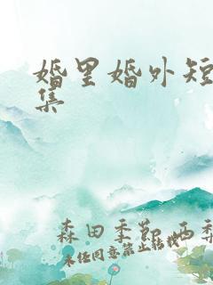 婚里婚外短剧合集