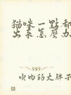 猫咪一点都尿不出来怎么办