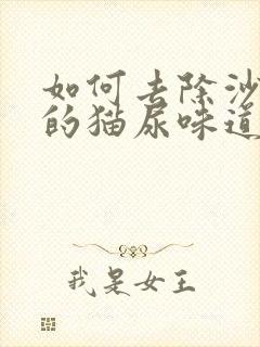 如何去除沙发上的猫尿味道