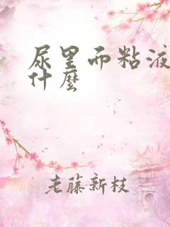 尿里面粘液丝是什么