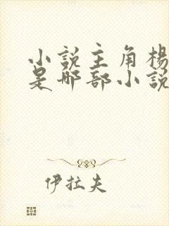 小说主角杨小天是哪部小说里的人物