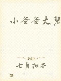 小爸爸大儿子