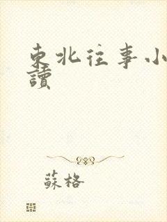 东北往事小说阅读