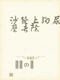 沙发上狗尿味怎么去除