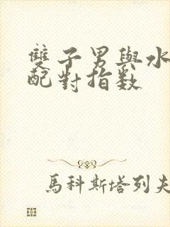 双子男与水瓶女配对指数