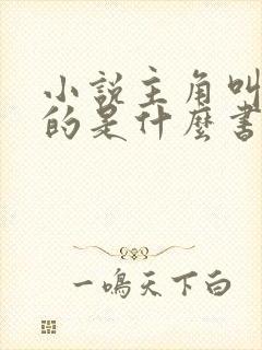 小说主角叫林天的是什么书