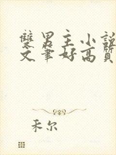 双男主小说推荐文笔好高质量