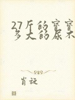 27斤的宝宝穿多大的尿不湿