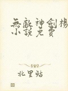 无敌神剑杨小天小说免费