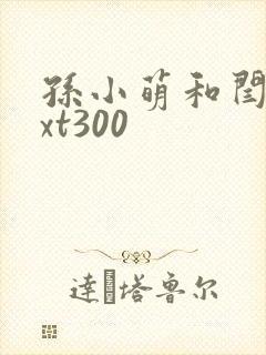 孙小萌和闫辰txt300
