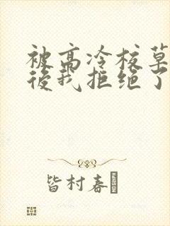 被高冷校草表白后我拒绝了