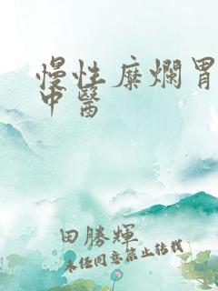 慢性糜烂胃炎 中医