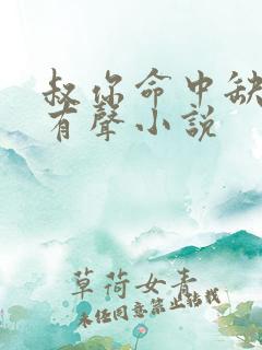 叔你命中缺我 有声小说