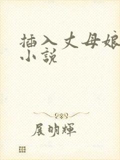 插入丈母娘阴道小说