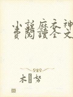 小说麻衣神婿免费阅读全文