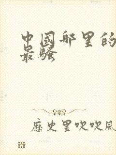 中国哪里的女人最骚