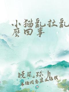 小猫乱拉乱尿怎么回事