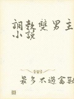 调教双男主双性小说