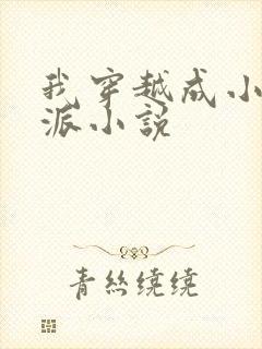 我穿越成小说反派小说