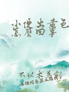 小便出黄色液体怎么回事