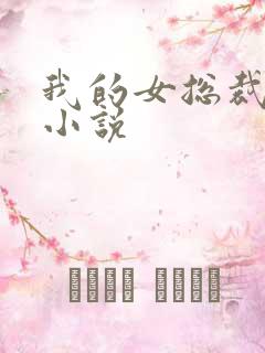 我的女总裁女友小说