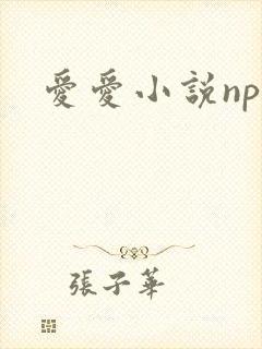 爱爱小说np文