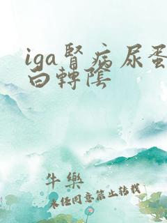 iga肾病尿蛋白转阴