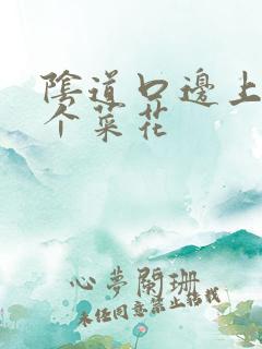 阴道口边上长了个菜花