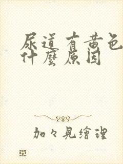 尿道有黄色液体什么原因